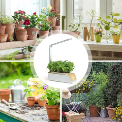 Automatic Flower Pot System